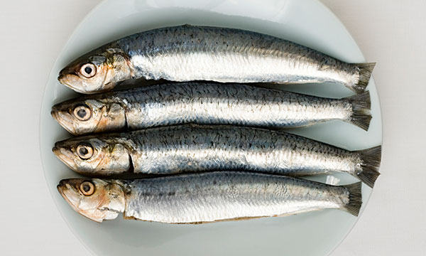 charming sardines